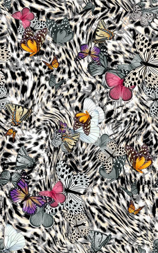 蝴蝶印花华亿平台图片