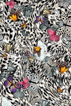 蝴蝶印花华亿平台图片