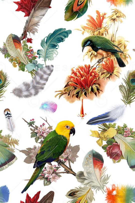 花鸟印花华亿平台图片