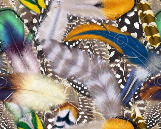 羽毛印花华亿平台图片