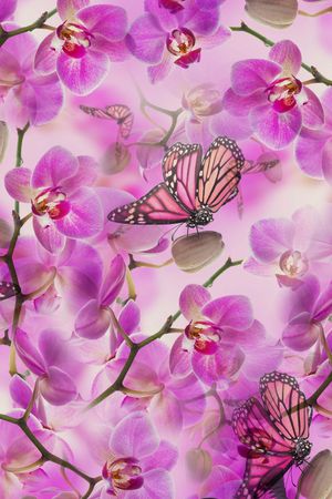 花朵印花华亿平台图片