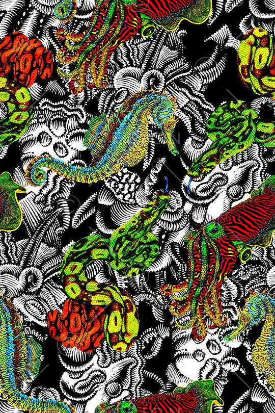 海底印花华亿平台图片