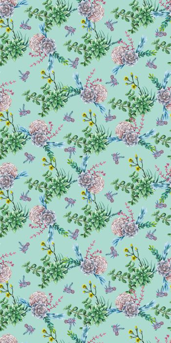 706038-手绘巴西绿多肉植物花卉