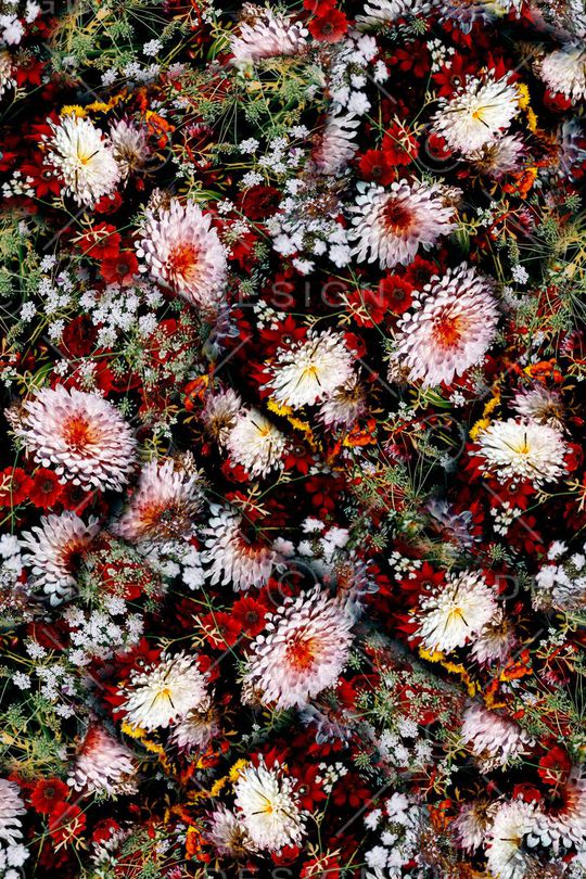 女装印花华亿平台图片