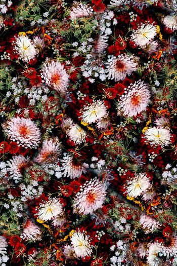 女装印花华亿平台图片