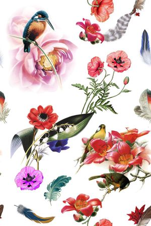 羽毛印花华亿平台图片