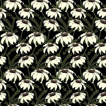 706172-白榄菊野草黑