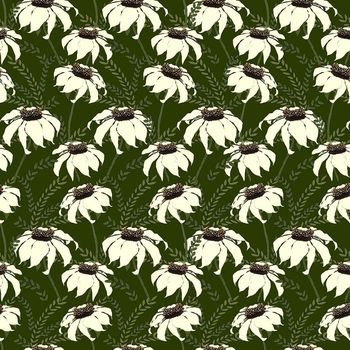 706174-白榄菊野草