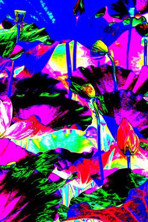 炫彩印花华亿平台图片