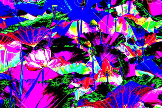 炫彩印花华亿平台图片