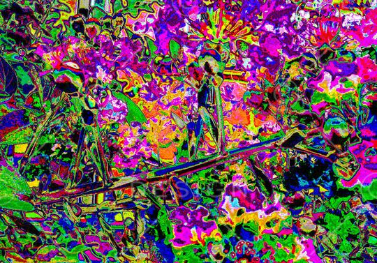 抽象印花华亿平台图片