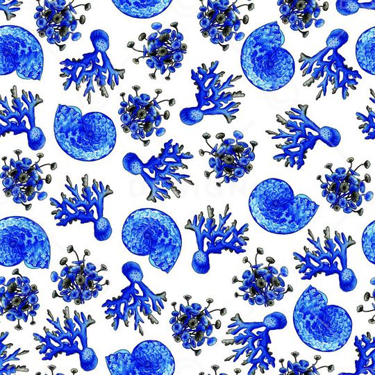 沙滩贝壳蜗牛印花华亿平台图片