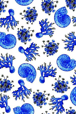 沙滩贝壳蜗牛印花华亿平台图片