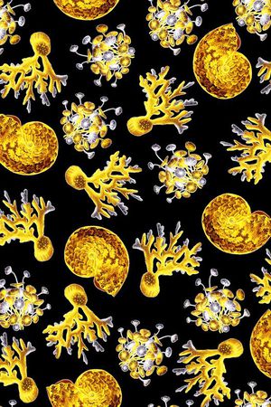 沙滩贝壳蜗牛印花华亿平台图片