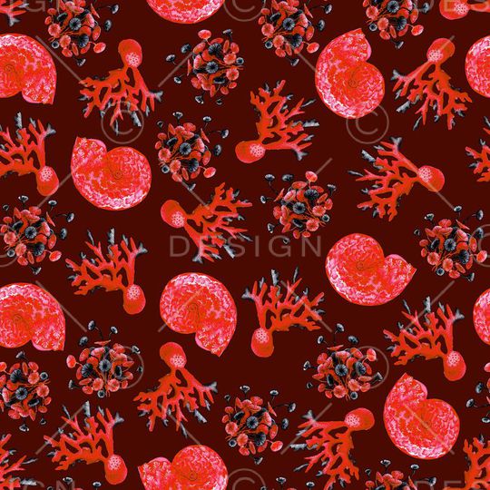 沙滩贝壳蜗牛印花华亿平台图片