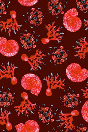 沙滩贝壳蜗牛印花华亿平台图片