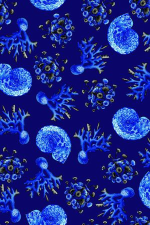 沙滩贝壳蜗牛印花华亿平台图片