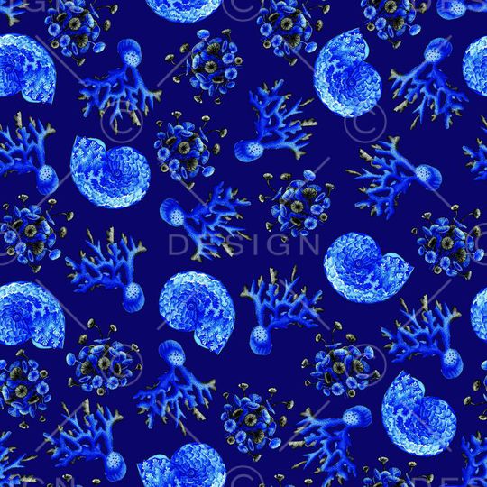 沙滩贝壳蜗牛印花华亿平台图片