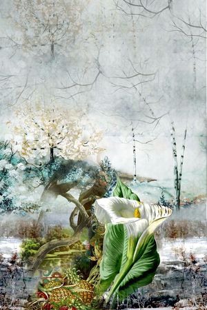 欧式印花华亿平台图片