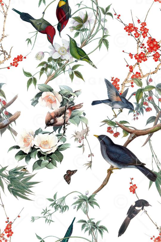 花鸟印花华亿平台图片