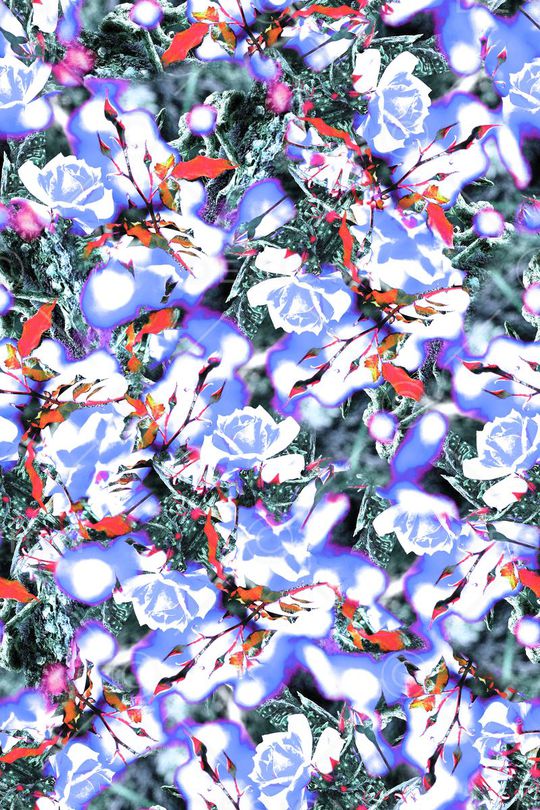 女装印花华亿平台图片