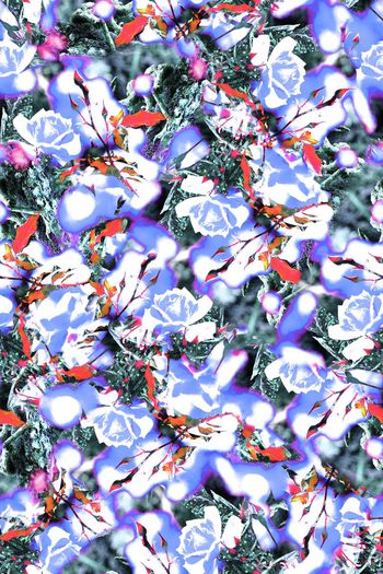 女装印花华亿平台图片