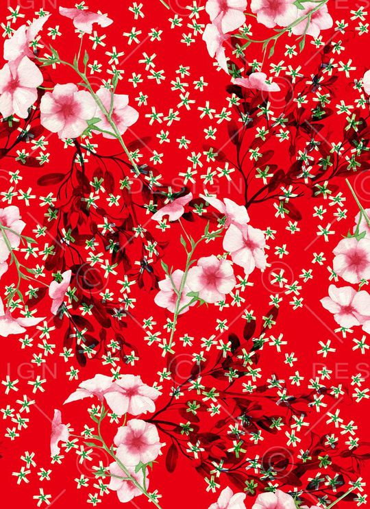 老年印花华亿平台图片