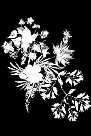 黑白印花华亿平台图片