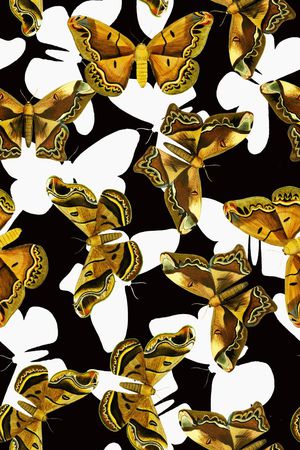 昆虫印花华亿平台图片