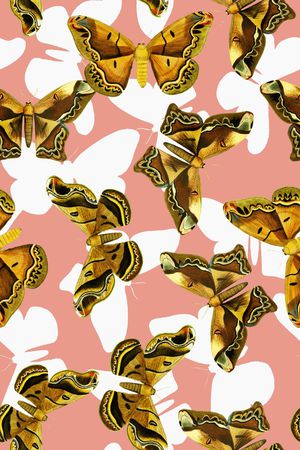 昆虫印花华亿平台图片