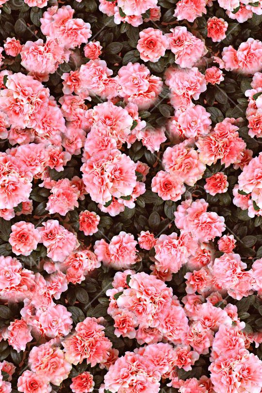 抽象手绘女装裙子花卉印花印花华亿平台图片