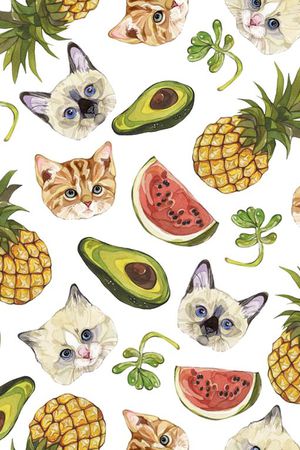 卡通形象小猫头印花华亿平台图片