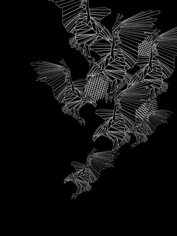 阿玛尼风格几何线条鹰印花华亿平台图片