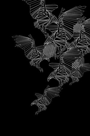 阿玛尼风格几何线条鹰印花华亿平台图片