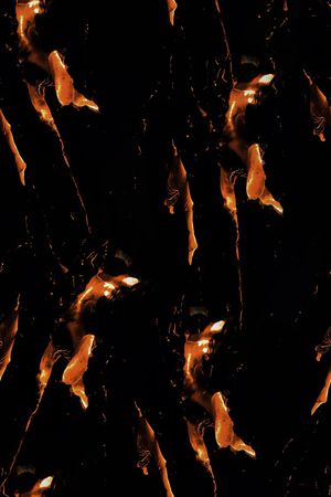 火花印花华亿平台图片