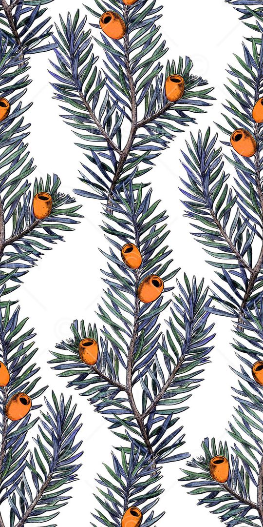 男装印花华亿平台图片