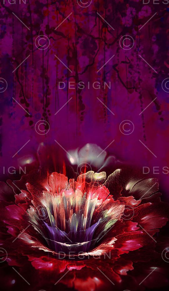 中老年印花华亿平台图片