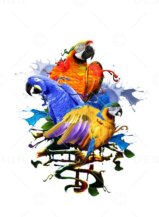 欧美潮牌男装T恤印花华亿平台图片