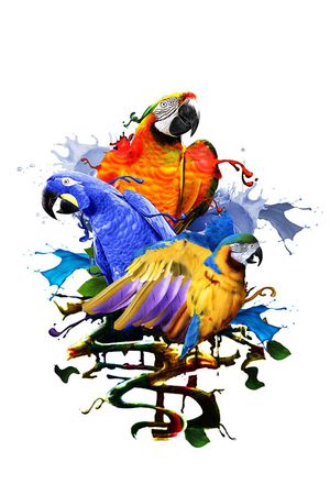 欧美潮牌男装T恤印花华亿平台图片