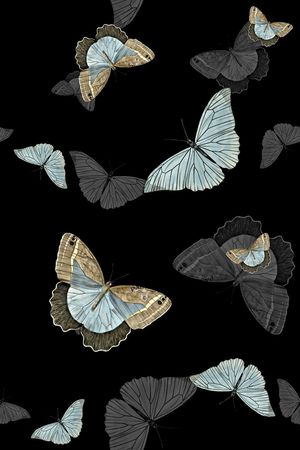 蝴蝶印花华亿平台图片