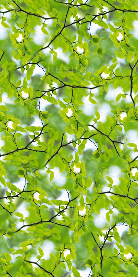 满版花印花华亿平台图片