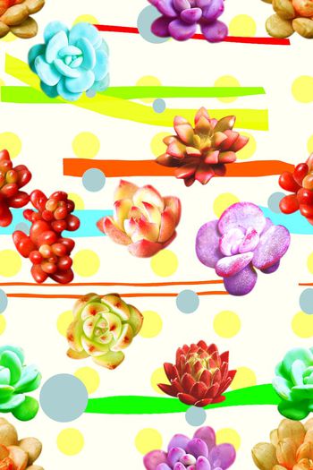 707264-波点条纹多肉花卉