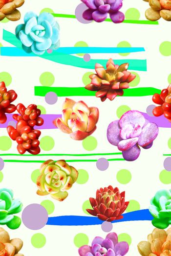 707275-波点条纹多肉花卉