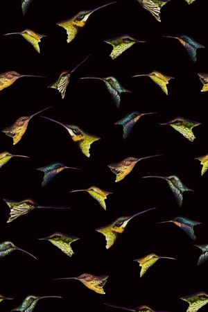 鸟头印花华亿平台图片