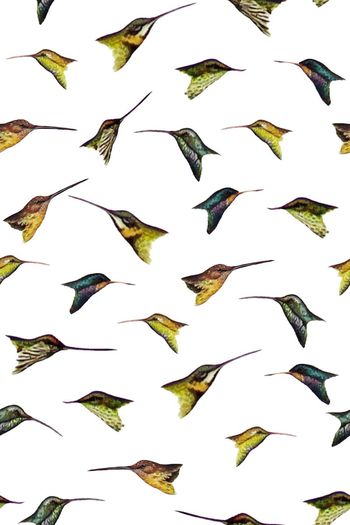 707364-2016-9-17鸟头2