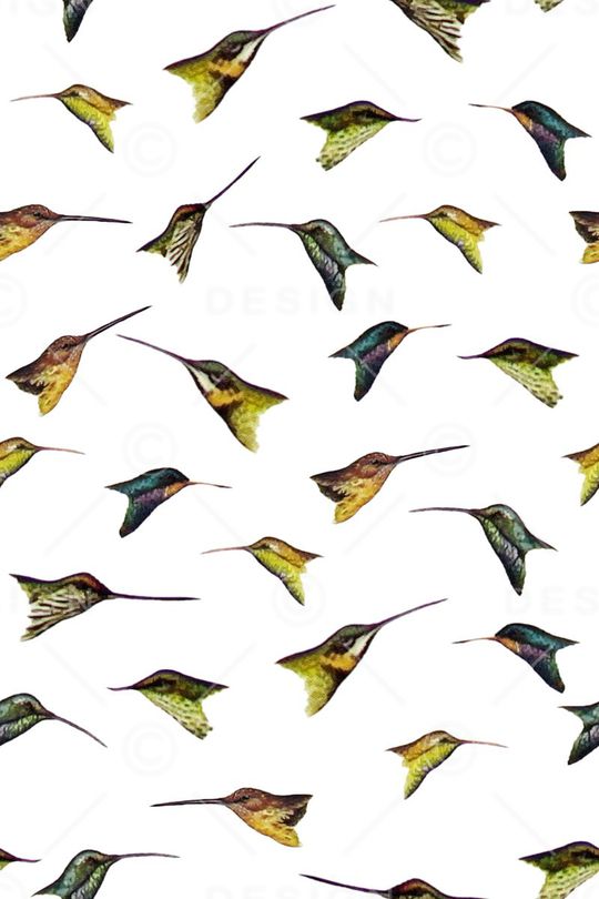 鸟头印花华亿平台图片