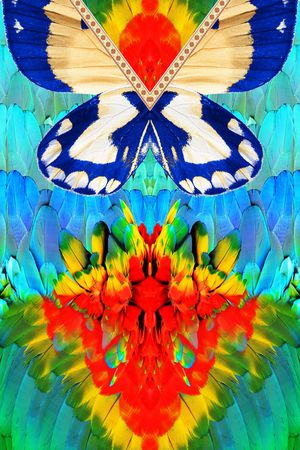 日韩风印花华亿平台图片