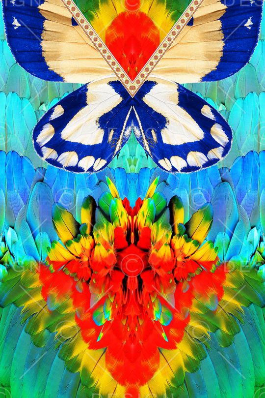 日韩风印花华亿平台图片