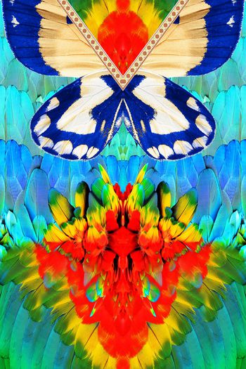 日韩风印花华亿平台图片