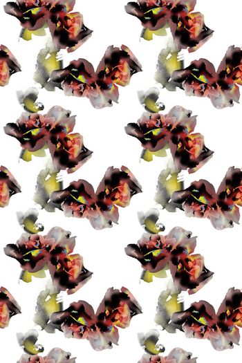 707388-L重叠花卉3